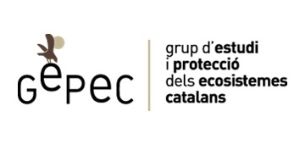 GEPEC GEPEC